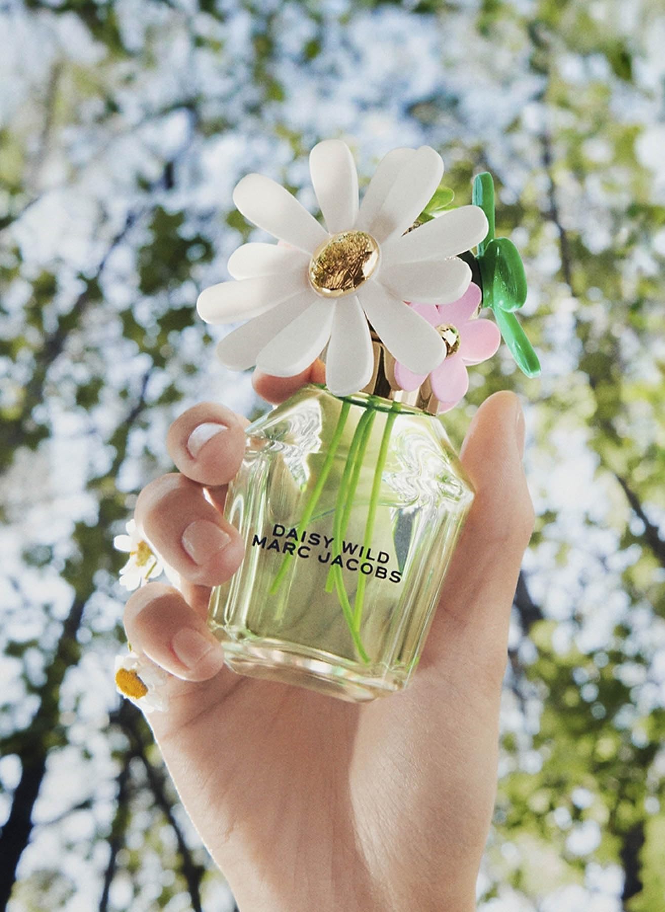 Amazon.com: Marc Jacobs Daisy Wild Eau de Parfum - Adventurous